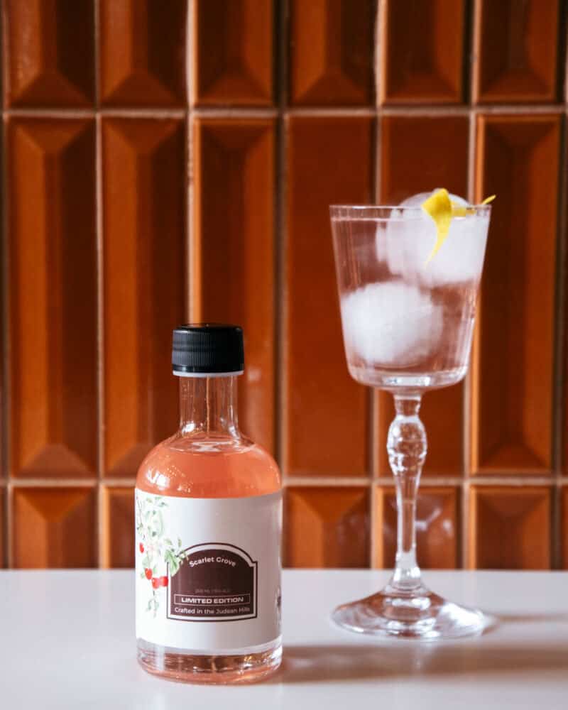 קוקטייל דובדבן מריר פירותי כשר לפסח - Scarlet Grove