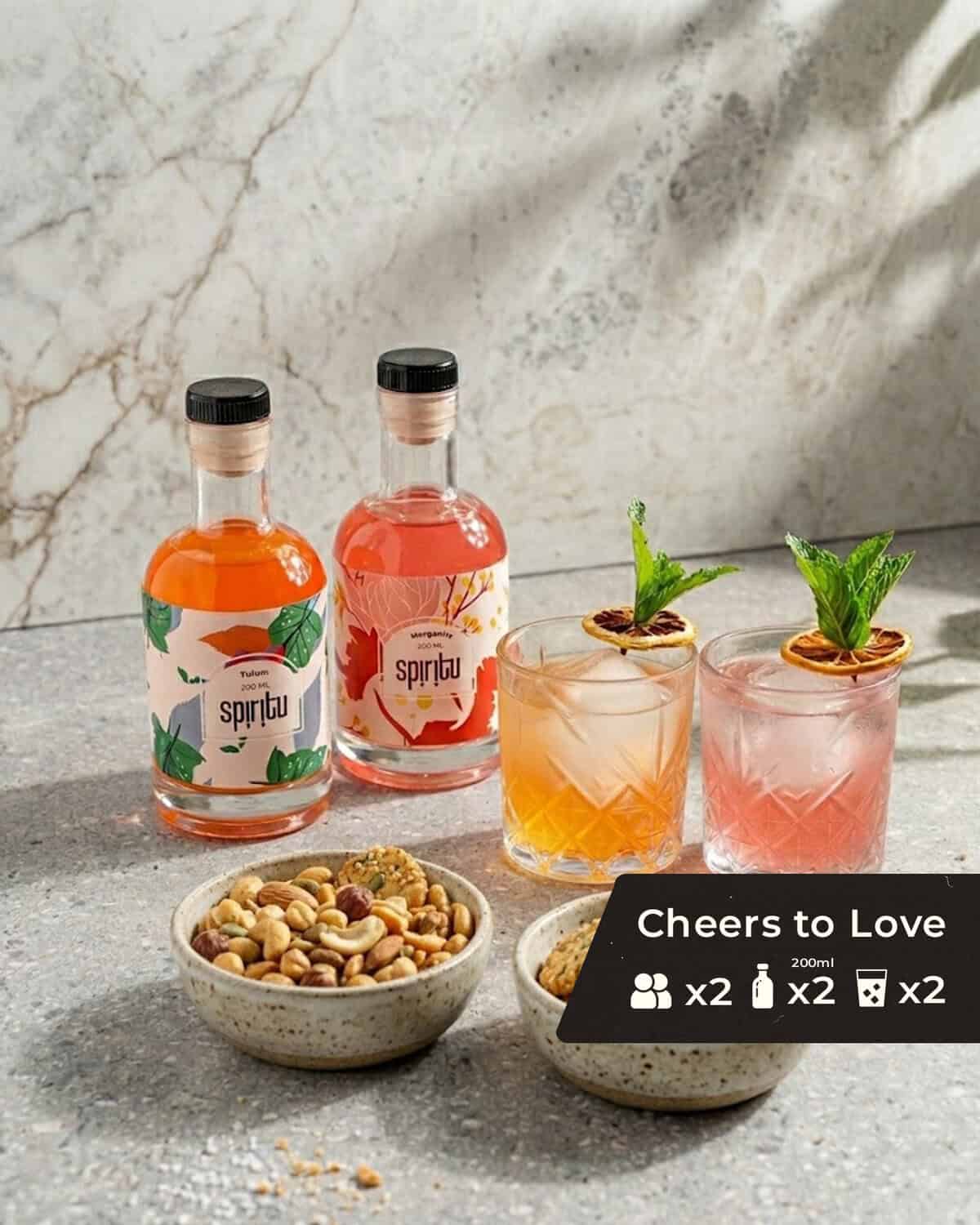 Cheers To Love With Icons מארז קוקטיילים מתנה ליום נישואין - Cheers to Love – תמונה 1