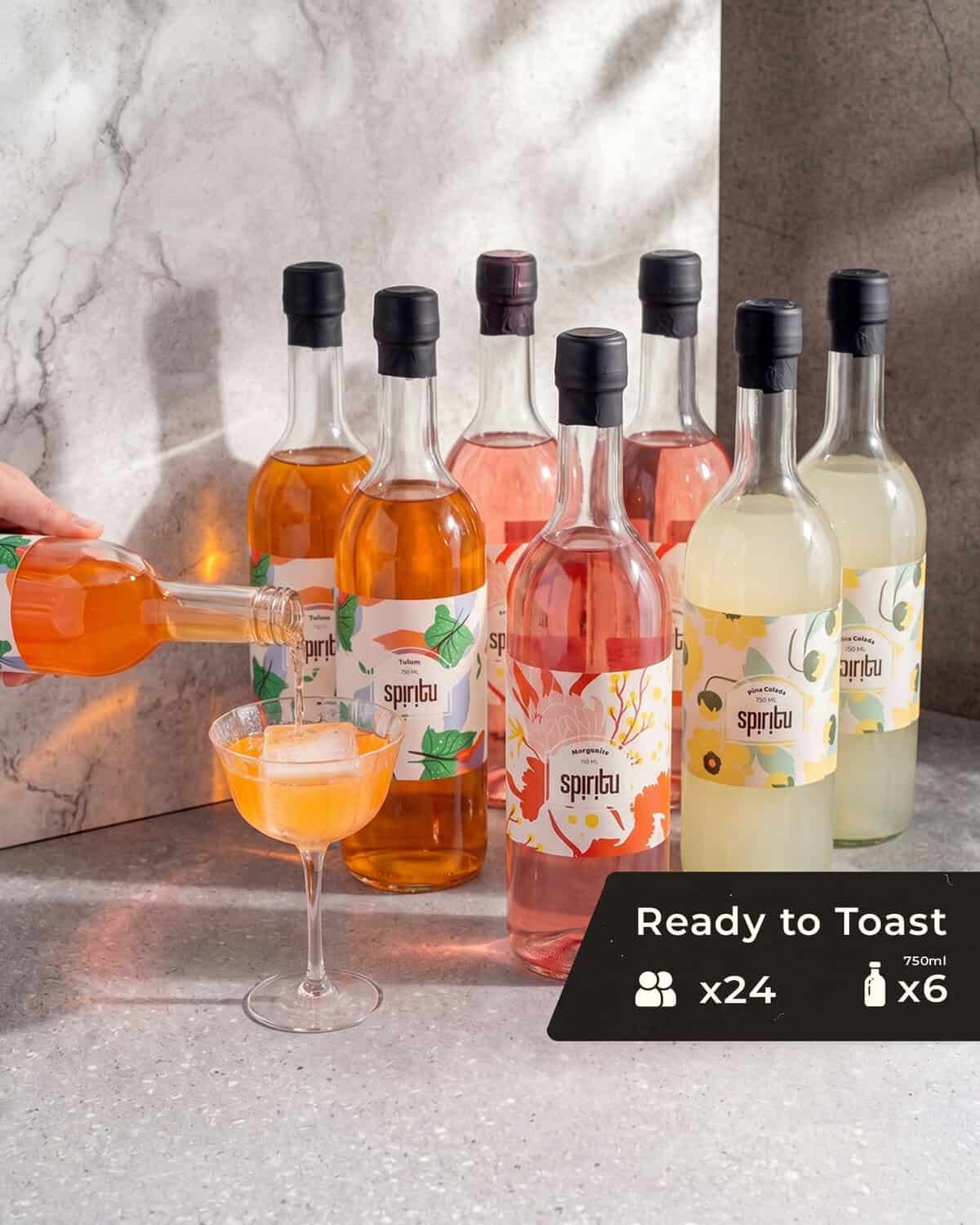 Ready To Toast With Icons מארז קוקטיילים מושלם להרמת כוסית - Ready to Toast – תמונה 1